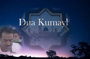 Sound| Dua-Kumail-in-Medina-With the voice of  Mohammadreza Gholamrezazadeh