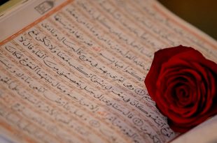 اطاعت از قرآن و معصومین، یکی از عوامل سعادت انسان