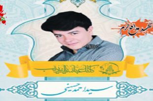 شهید مدافع حرم سید احمد حسینی4
