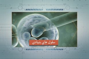دستاوردهای انقلاب اسلامی در حوزه علم نوین