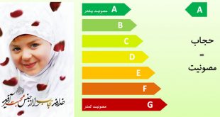 نقش و اهمیت حجاب در امنیت اخلاقی جامعه...