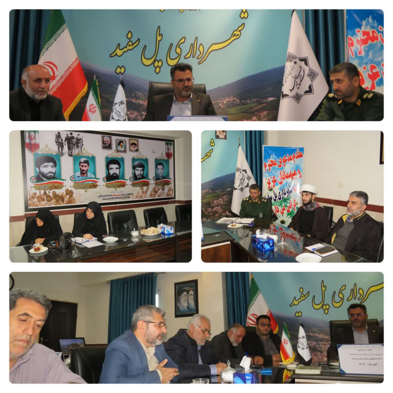 شهرستان پلسفید